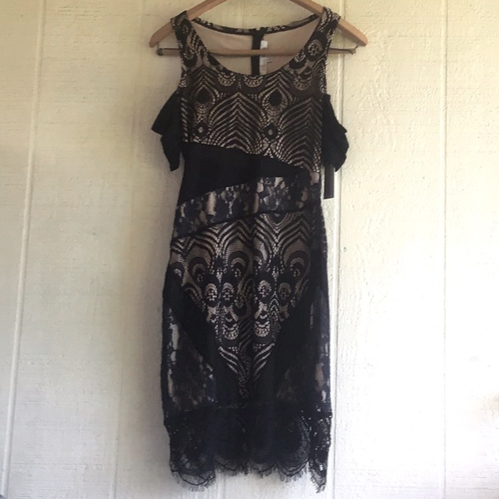 Lovers + Friends lace sheer off shoulder dress